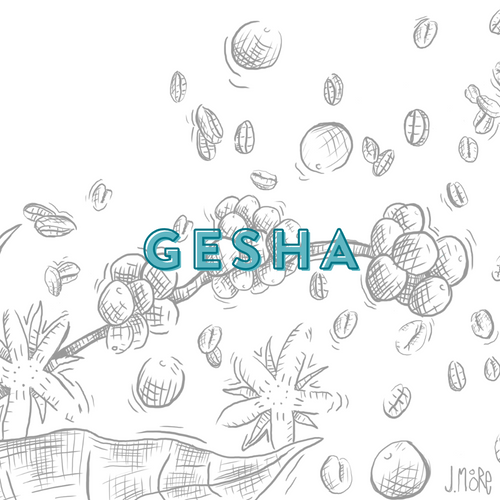 The Alluring World of Gesha Coffee: Everything You Need to Know About this Rare and Exquisite Varietal